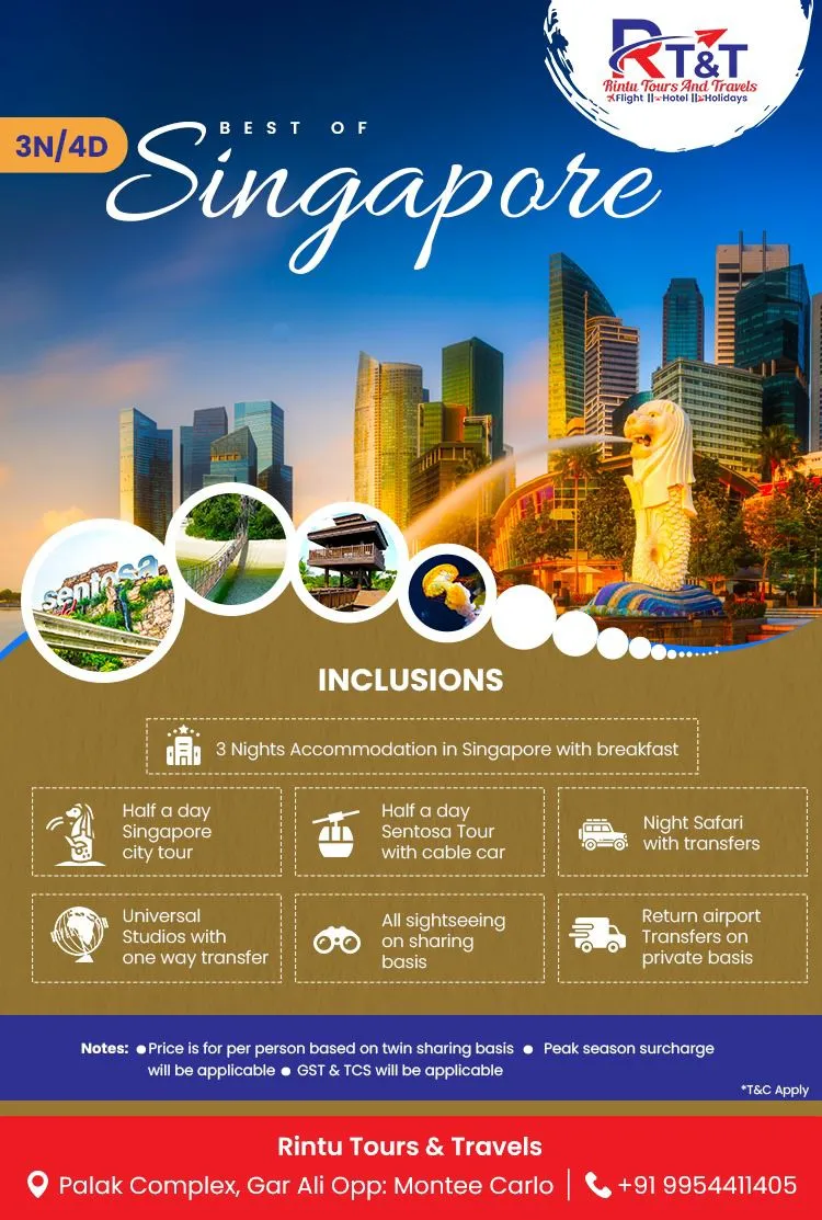 WhatsApp Image 2024-11-20 at 10.57.51 AM.webp